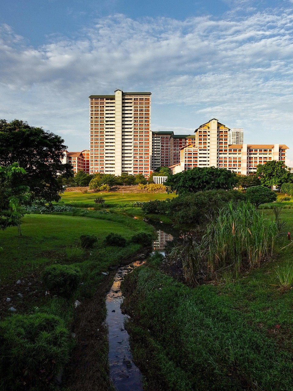 singapore, housing, architecture, modern, nature, asia, sky, park, city, urban, skyline, skyscraper